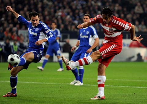 情与理智 情与理智